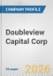 Doubleview Capital Corp. Fundamental Company Report Including Financial, SWOT, Competitors and Industry Analysis - Product Thumbnail Image