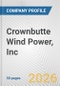 Crownbutte Wind Power, Inc. Fundamental Company Report Including Financial, SWOT, Competitors and Industry Analysis - Product Thumbnail Image