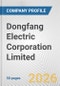 Dongfang Electric Corporation Limited Fundamental Company Report Including Financial, SWOT, Competitors and Industry Analysis - Product Thumbnail Image