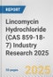 Lincomycin Hydrochloride (CAS 859-18-7) Industry Research 2025: Global and Regional Market Trends 2019-2024 and Forecast to 2029 - Product Image