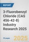 3-Fluorobenzyl Chloride (CAS 456-42-8) Industry Research 2025: Global and Regional Market Trends 2019-2024 and Forecast to 2029 - Product Thumbnail Image