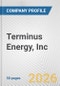Terminus Energy, Inc. Fundamental Company Report Including Financial, SWOT, Competitors and Industry Analysis - Product Thumbnail Image