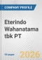 Eterindo Wahanatama tbk PT Fundamental Company Report Including Financial, SWOT, Competitors and Industry Analysis - Product Thumbnail Image
