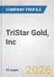 TriStar Gold, Inc. Fundamental Company Report Including Financial, SWOT, Competitors and Industry Analysis - Product Thumbnail Image