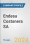 Endesa Costanera SA Fundamental Company Report Including Financial, SWOT, Competitors and Industry Analysis - Product Thumbnail Image