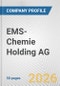 EMS-Chemie Holding AG Fundamental Company Report Including Financial, SWOT, Competitors and Industry Analysis - Product Thumbnail Image