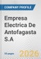 Empresa Electrica De Antofagasta S.A Fundamental Company Report Including Financial, SWOT, Competitors and Industry Analysis - Product Thumbnail Image