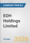 EOH Holdings Limited Fundamental Company Report Including Financial, SWOT, Competitors and Industry Analysis - Product Thumbnail Image