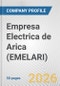 Empresa Electrica de Arica (EMELARI) Fundamental Company Report Including Financial, SWOT, Competitors and Industry Analysis - Product Thumbnail Image