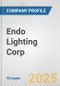 Endo Lighting Corp. Fundamental Company Report Including Financial, SWOT, Competitors and Industry Analysis - Product Thumbnail Image