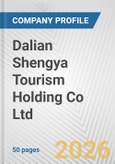 Dalian Shengya Tourism Holding Co Ltd Fundamental Company Report Including Financial, SWOT, Competitors and Industry Analysis- Product Image