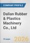 Dalian Rubber & Plastics Machinery Co., Ltd Fundamental Company Report Including Financial, SWOT, Competitors and Industry Analysis - Product Thumbnail Image