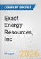Exact Energy Resources, Inc. Fundamental Company Report Including Financial, SWOT, Competitors and Industry Analysis - Product Thumbnail Image