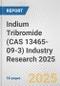 Indium Tribromide (CAS 13465-09-3) Industry Research 2025: Global and Regional Market Trends 2019-2024 and Forecast to 2029 - Product Image
