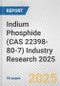 Indium Phosphide (CAS 22398-80-7) Industry Research 2025: Global and Regional Market Trends 2019-2024 and Forecast to 2029 - Product Image
