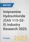 Imipramine Hydrochloride (CAS 113-52-0) Industry Research 2025: Global and Regional Market Trends 2019-2024 and Forecast to 2029 - Product Thumbnail Image