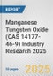 Manganese Tungsten Oxide (CAS 14177-46-9) Industry Research 2025: Global and Regional Market Trends 2019-2024 and Forecast to 2029 - Product Thumbnail Image