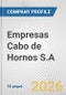 Empresas Cabo de Hornos S.A. Fundamental Company Report Including Financial, SWOT, Competitors and Industry Analysis - Product Thumbnail Image