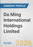 Da Ming International Holdings Limited Fundamental Company Report Including Financial, SWOT, Competitors and Industry Analysis- Product Image