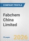 Fabchem China Limited Fundamental Company Report Including Financial, SWOT, Competitors and Industry Analysis - Product Thumbnail Image