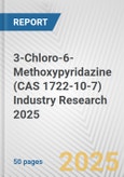 3-Chloro-6-Methoxypyridazine (CAS 1722-10-7) Industry Research 2025: Global and Regional Market Trends 2019-2024 and Forecast to 2029- Product Image