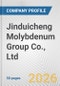 Jinduicheng Molybdenum Group Co., Ltd. Fundamental Company Report Including Financial, SWOT, Competitors and Industry Analysis - Product Thumbnail Image