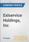 Exlservice Holdings, Inc. Fundamental Company Report Including Financial, SWOT, Competitors and Industry Analysis - Product Thumbnail Image
