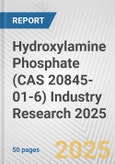 Hydroxylamine Phosphate (CAS 20845-01-6) Industry Research 2025: Global and Regional Market Trends 2019-2024 and Forecast to 2029- Product Image