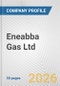 Eneabba Gas Ltd. Fundamental Company Report Including Financial, SWOT, Competitors and Industry Analysis - Product Thumbnail Image