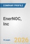 EnerNOC, Inc. Fundamental Company Report Including Financial, SWOT, Competitors and Industry Analysis - Product Thumbnail Image