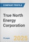 True North Energy Corporation Fundamental Company Report Including Financial, SWOT, Competitors and Industry Analysis - Product Thumbnail Image