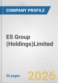 ES Group (Holdings)Limited Fundamental Company Report Including Financial, SWOT, Competitors and Industry Analysis- Product Image