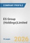 ES Group (Holdings)Limited Fundamental Company Report Including Financial, SWOT, Competitors and Industry Analysis - Product Thumbnail Image