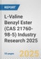 L-Valine Benzyl Ester (CAS 21760-98-5) Industry Research 2025: Global and Regional Market Trends 2019-2024 and Forecast to 2029 - Product Thumbnail Image