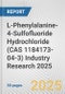 L-Phenylalanine-4-Sulfofluoride Hydrochloride (CAS 1184173-04-3) Industry Research 2025: Global and Regional Market Trends 2019-2024 and Forecast to 2029 - Product Thumbnail Image