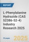 L-Phenylalanine Hydrazide (CAS 52386-52-4) Industry Research 2025: Global and Regional Market Trends 2019-2024 and Forecast to 2029 - Product Thumbnail Image