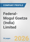 Federal-Mogul Goetze (India) Limited Fundamental Company Report Including Financial, SWOT, Competitors and Industry Analysis- Product Image