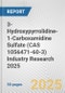 3-Hydroxypyrrolidine-1-Carboxamidine Sulfate (CAS 1056471-60-3) Industry Research 2025: Global and Regional Market Trends 2019-2024 and Forecast to 2029 - Product Thumbnail Image