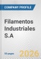 Filamentos Industriales S.A. Fundamental Company Report Including Financial, SWOT, Competitors and Industry Analysis - Product Thumbnail Image