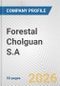 Forestal Cholguan S.A. Fundamental Company Report Including Financial, SWOT, Competitors and Industry Analysis - Product Thumbnail Image