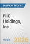 FIIC Holdings, Inc. Fundamental Company Report Including Financial, SWOT, Competitors and Industry Analysis - Product Thumbnail Image