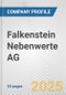 Falkenstein Nebenwerte AG Fundamental Company Report Including Financial, SWOT, Competitors and Industry Analysis - Product Thumbnail Image