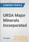 URSA Major Minerals Incorporated Fundamental Company Report Including Financial, SWOT, Competitors and Industry Analysis - Product Thumbnail Image