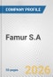 Famur S.A. Fundamental Company Report Including Financial, SWOT, Competitors and Industry Analysis - Product Thumbnail Image