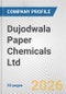 Dujodwala Paper Chemicals Ltd. Fundamental Company Report Including Financial, SWOT, Competitors and Industry Analysis - Product Thumbnail Image