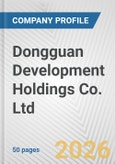 Dongguan Development Holdings Co. Ltd. Fundamental Company Report Including Financial, SWOT, Competitors and Industry Analysis- Product Image
