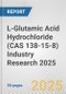 L-Glutamic Acid Hydrochloride (CAS 138-15-8) Industry Research 2025: Global and Regional Market Trends 2019-2024 and Forecast to 2029 - Product Thumbnail Image