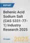 Behenic Acid Sodium Salt (CAS 5331-77-1) Industry Research 2025: Global and Regional Market Trends 2019-2024 and Forecast to 2029 - Product Thumbnail Image