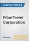 FiberTower Corporation Fundamental Company Report Including Financial, SWOT, Competitors and Industry Analysis - Product Thumbnail Image