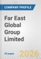 Far East Global Group Limited Fundamental Company Report Including Financial, SWOT, Competitors and Industry Analysis - Product Thumbnail Image